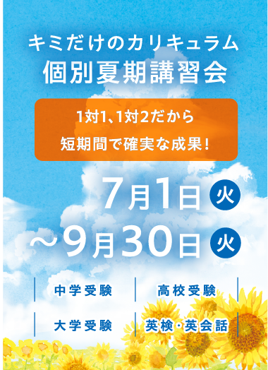 個別夏期講習会