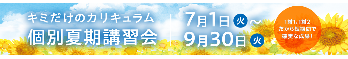 個別夏期講習会